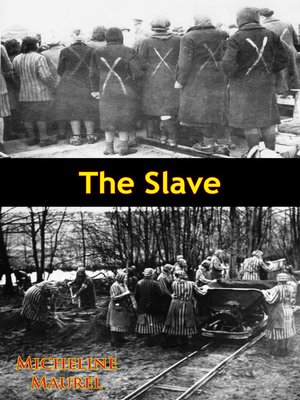 cover image of The Slave